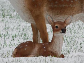 Set of 2 Sika deer - Small and Large - Detailed