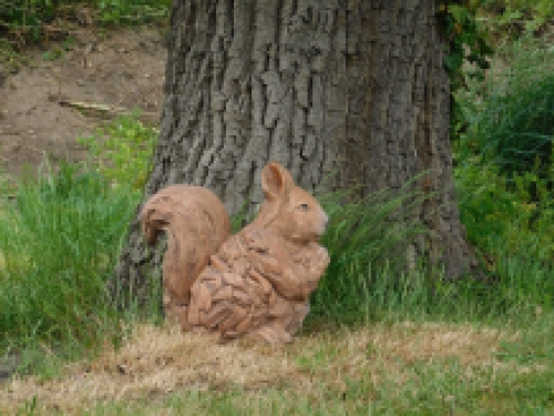 Squirrel XL- woodlook - polystone - weatherproof.