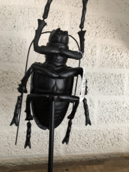 Beetle polystone black on metal stand, special and beautiful!