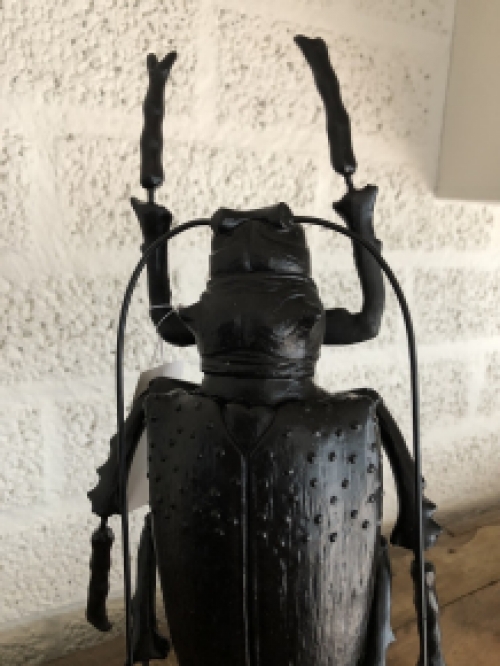 Beetle polystone black on metal stand, special and beautiful!