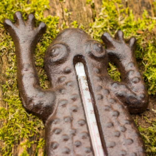 Frog as thermometer, outdoor thermometer as toad, country style