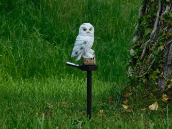 Garden Stick Owl - Polystone with Solar lighting