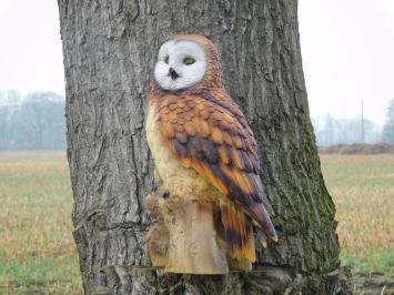 Owl on stump - brown - polystone - detailed