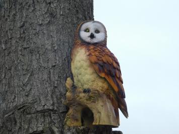 Uil op stronk - bruin - polystone - gedetailleerd