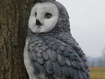 Owl on stump - grey - polystone - detailed