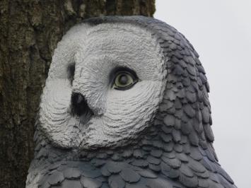 Owl on stump - grey - polystone - detailed