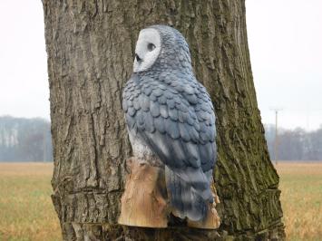 Owl on stump - grey - polystone - detailed