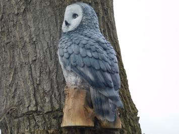 Owl on stump - grey - polystone - detailed