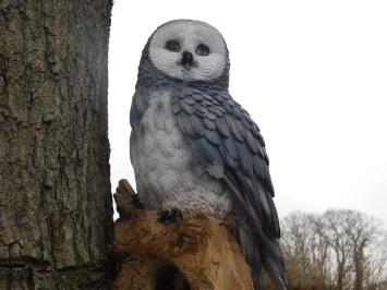 Owl on stump - grey - polystone - detailed