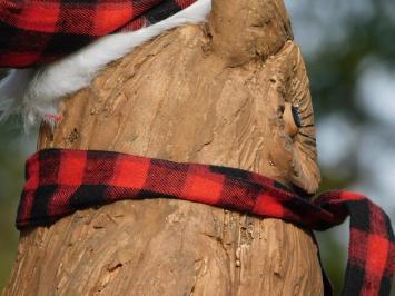 Christmas Owl on Tree Trunk - Polystone - Woodlook