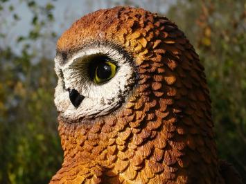 Owl on Tree Trunk XL - Full in Colour - Polystone