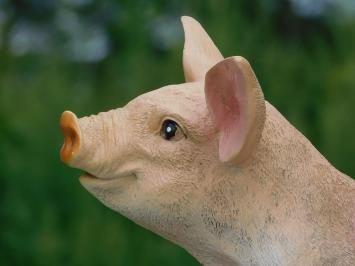 Statue Sitting Pig with Blue Boots - Polystone