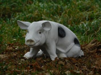 Beeld varken met zwarte vlekken - zwart wit - polystone