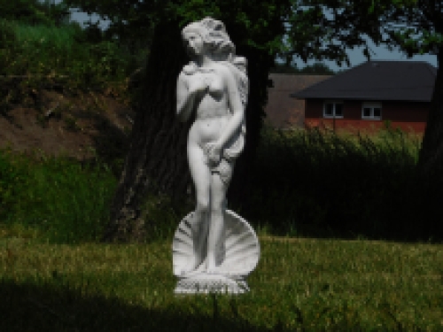 Beeld Venus Aphrodite - vol steen - weerbestendig