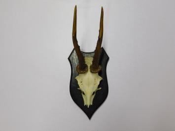 Vintage-Holzschild mit Hirsch, Reh, Rehbockgeweih und Schädel – 1970er Jahre