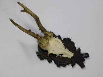 Vintage-Holzschild mit Hirsch, Reh, Rehbockgeweih und Schädel – 1970er Jahre