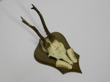 Vintage-Holzschild mit Hirsch, Reh, Rehbockgeweih und Schädel – 1970er Jahre