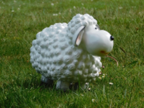 Statue of sheep - white - polystone