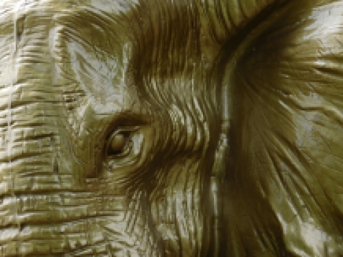 Wall ornament elephant - gold - polystone