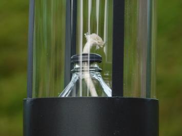 Olielamp XL - Zwart - Metaal en Glas - Lantaarn - Ophangbaar