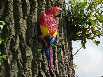 Roter Papagei - Gusseisen