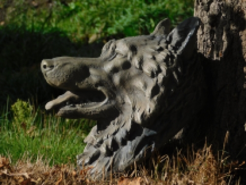 Large wolf head, very beautiful in expression, polystone