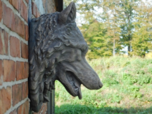 Large wolf head, very beautiful in expression, polystone