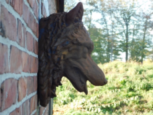 Wolf's head - polystone - in oxide - wall decoration