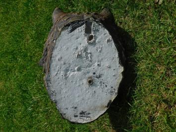 Wolvenkop met Wateruitloop - 45 x 35 cm - Steen